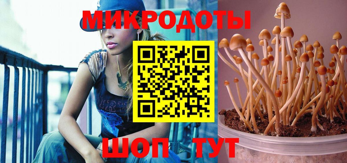 Галлюциногенные грибы Psilocybine cubensis Щёкино