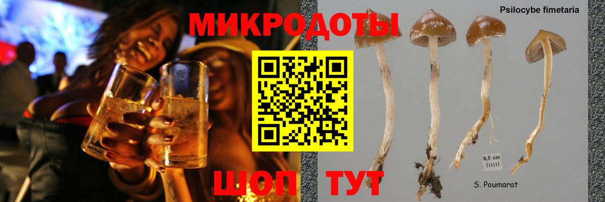 Псилоцибиновые грибы Psilocybine cubensis  Галлюциногенные грибы Psilocybine cubensis  Щёкино  Вход с VPN 